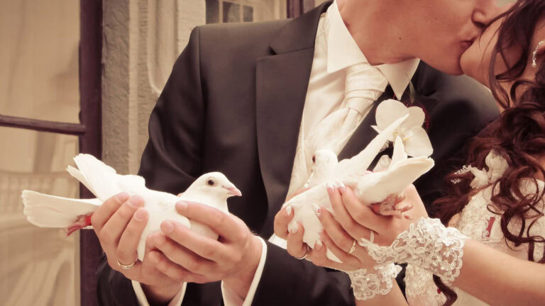 Hochzeitsfotograf Göttingen – Emotionale Hochzeitsfotos